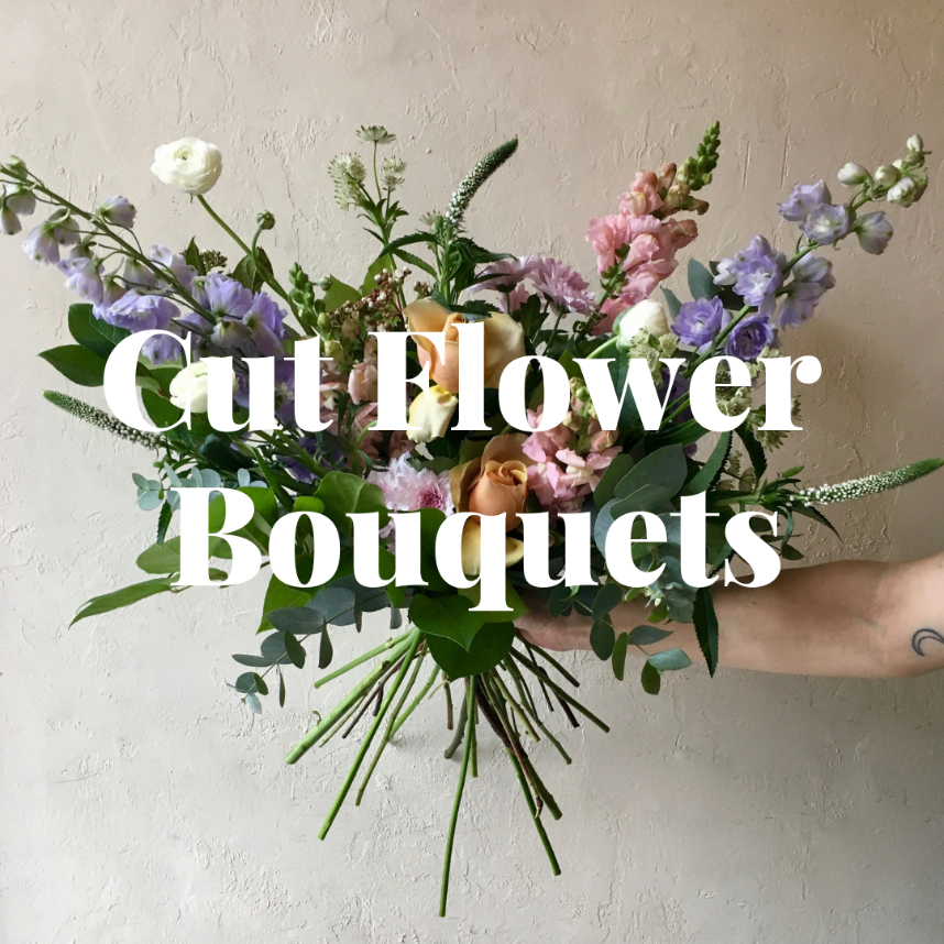 botany floral studio 647