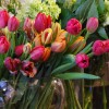 Fresh flowers at Botany Floral Studio