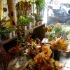 Autumn bunches in the studio