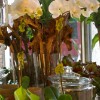 Inside Botany Floral Studio