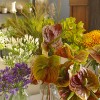 Autumn fresh flowers