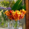 Autumn fresh flowers