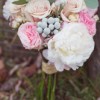 Beautiful Images Photography