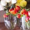Autumn fresh flowers - Photography by Beautiful Images Photography