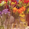 Autumn fresh flowers - Photography by Beautiful Images Photography