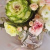 Beautiful Images Photography