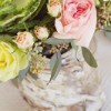 Beautiful Images Photography