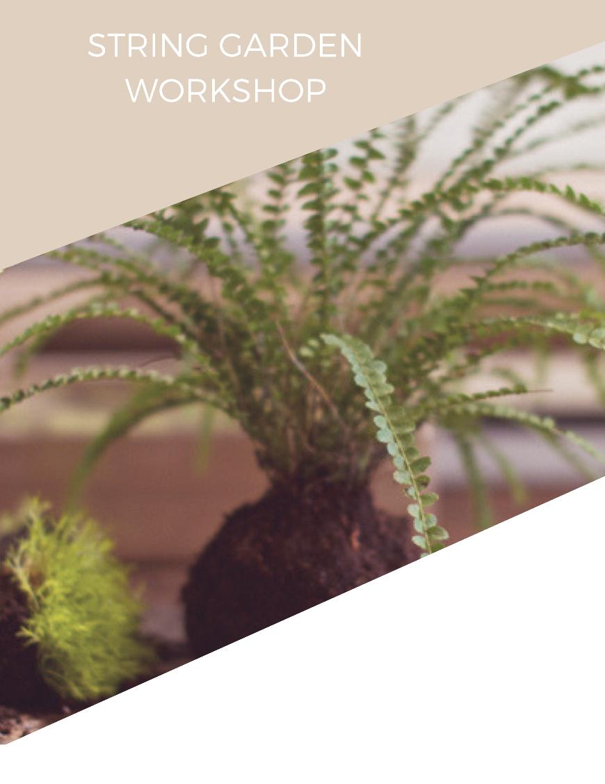 workshops toronto, flower arranging class toronto, terrarium workshops toronto, flower shops in toronto, florists toronto, best place to buy flowers in toronto, wedding flowers toronto, toronto wedding flowers, toronto wedding florist, plant workshops, florist workshops toronto