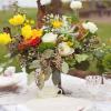 Beautiful Images Photography