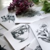 Cards printed in the studio