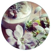 toronto workshops, toronto flower class, toronto flower workshop, send flowers toronto, toronto florist oferring classes in flower arranging, flower arranging class toronto