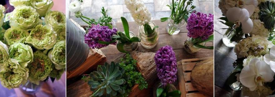 toronto florist, toronto flowers, send flowers in toronto, order flowers online toronto, downtown flower shop in toronto, flower shop toronto