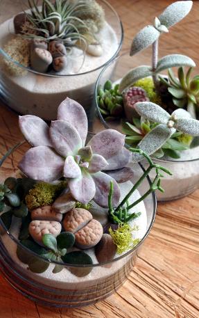 workshops toronto, flower arranging class toronto, terrarium workshops toronto, flower shops in toronto, florists toronto, best place to buy flowers in toronto, wedding flowers toronto, toronto wedding flowers, toronto wedding florist, plant workshops, florist workshops toronto