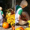 Our little guy handing out apples!
