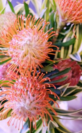 wedding florist toronto, send flowers in toronto, event florist toronto, wedding flowers toronto, order flowers online toronto