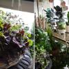 Front window at Botany