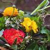 Beautiful Images Photography