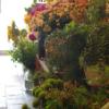 Inside Botany Floral Studio