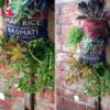 Hanging Burlap Bag filled with Succulents