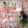 Hanging Burlap Bag filled with Succulents