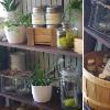 Inside Botany Floral Studio