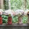 Nikki Mills Photography
