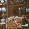 Nikki Mills Photography