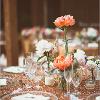 Nikki Mills Photography